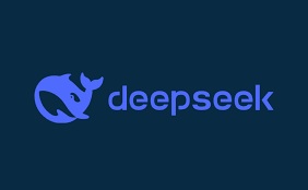 Deepseek Text Model
